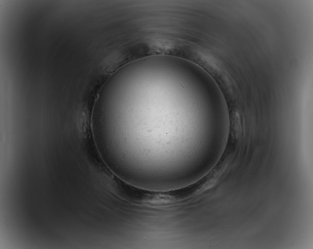 X0000088650463200705251505
