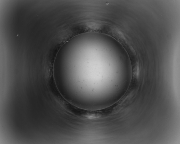 X0000088650464200705251505