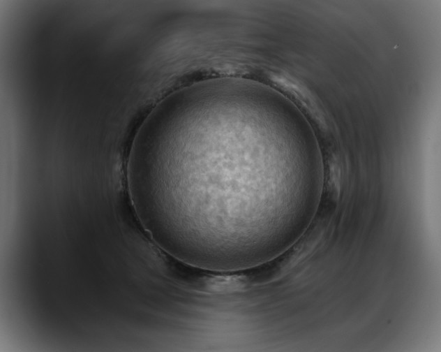 X0000088650465200705251505