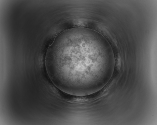 X0000088650466200705251505