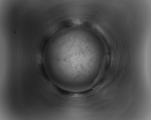 X0000088650467200705251505