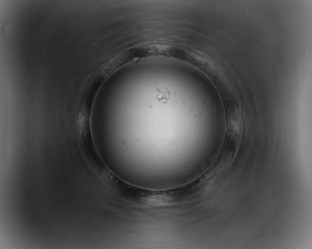 X0000088650468200705251505