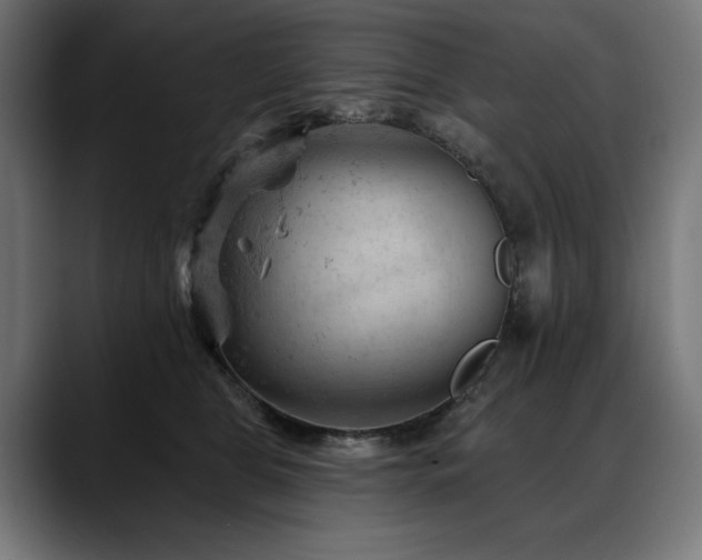 X0000088650469200705251505