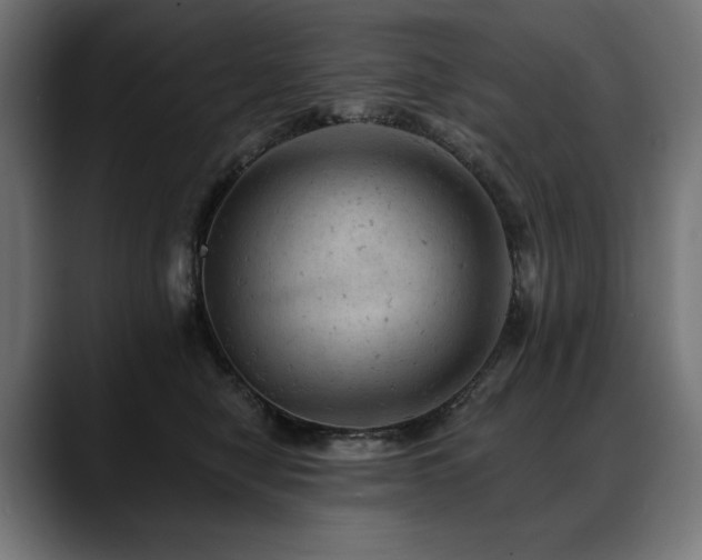 X0000088650470200705251505