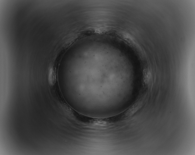 X0000088650471200705251505