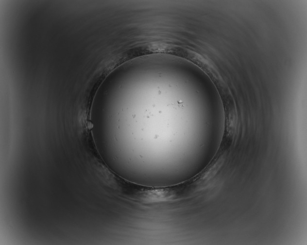 X0000088650473200705251505