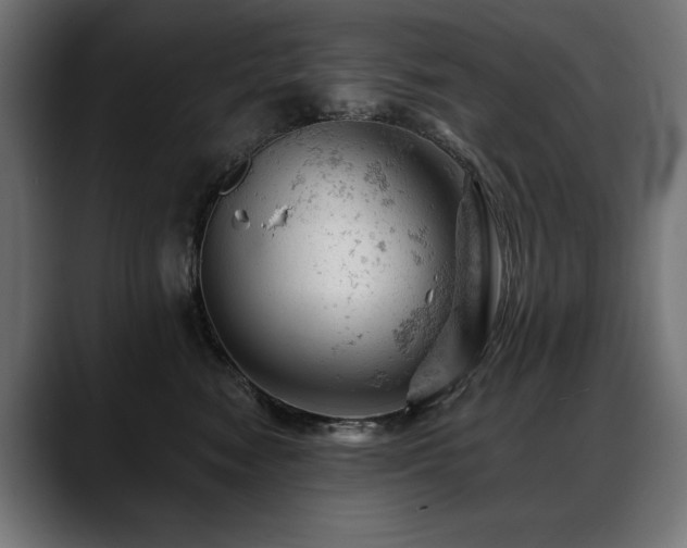 X0000088650474200705251505
