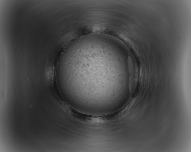 X0000088650475200705251505