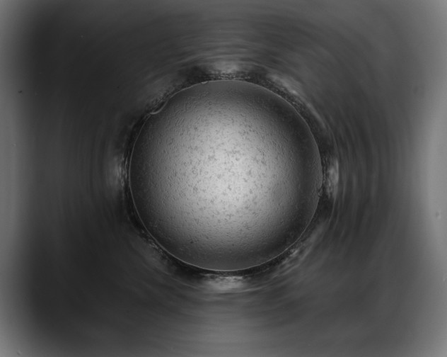 X0000088650476200705251505