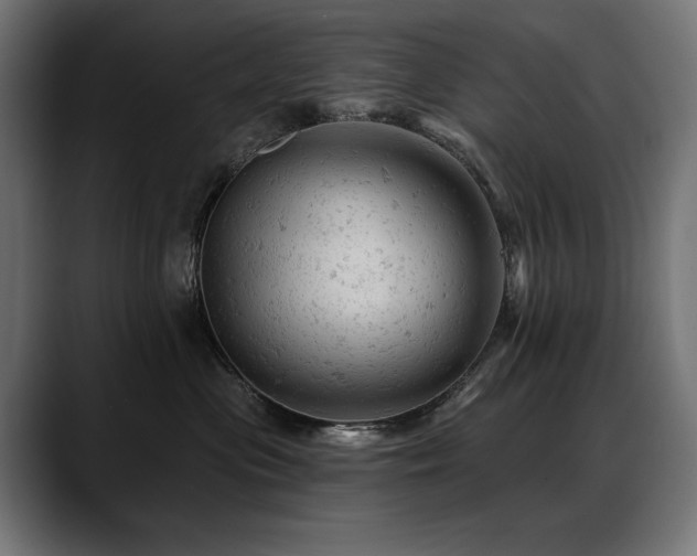 X0000088650477200705251505