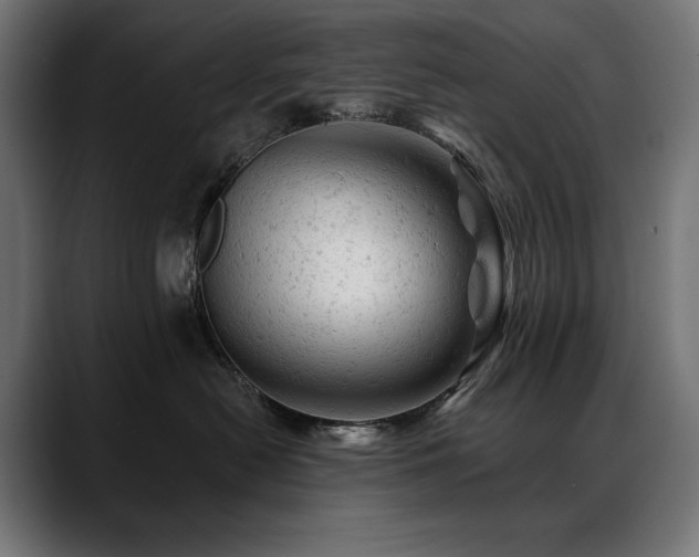 X0000088650478200705251505