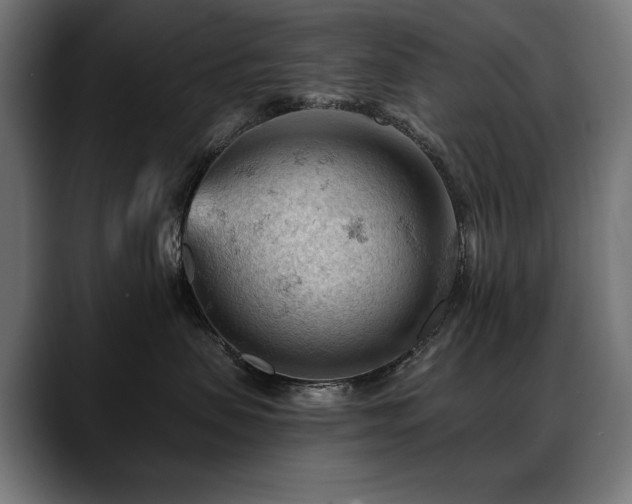 X0000088650479200705251505