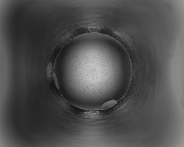 X0000088650480200705251505
