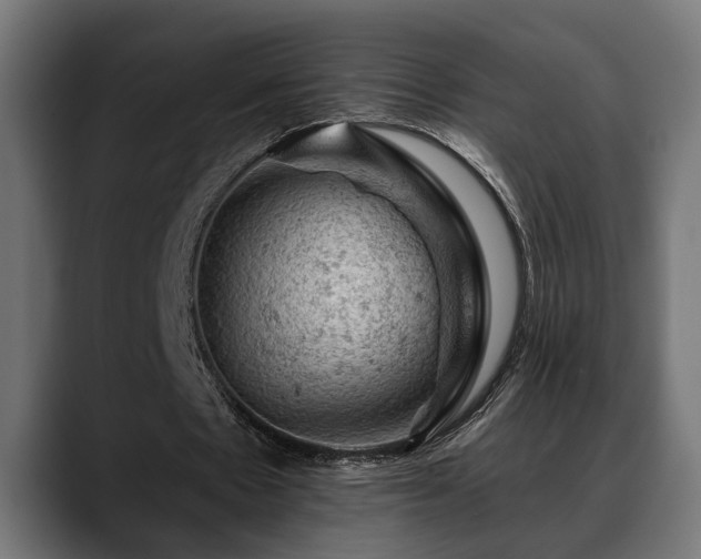 X0000088650481200705251505