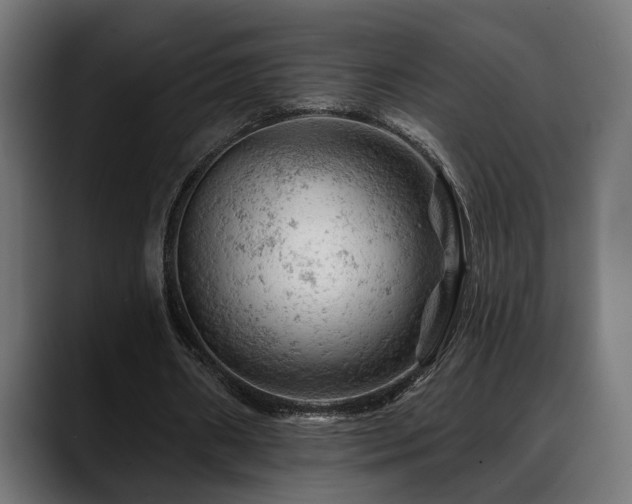 X0000088650482200705251505
