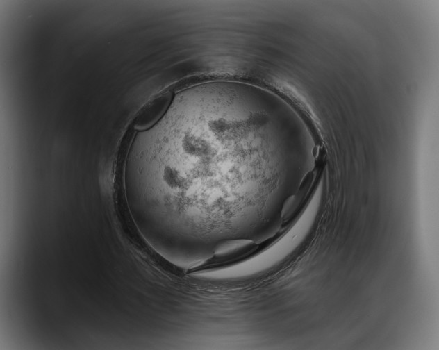 X0000088650483200705251505