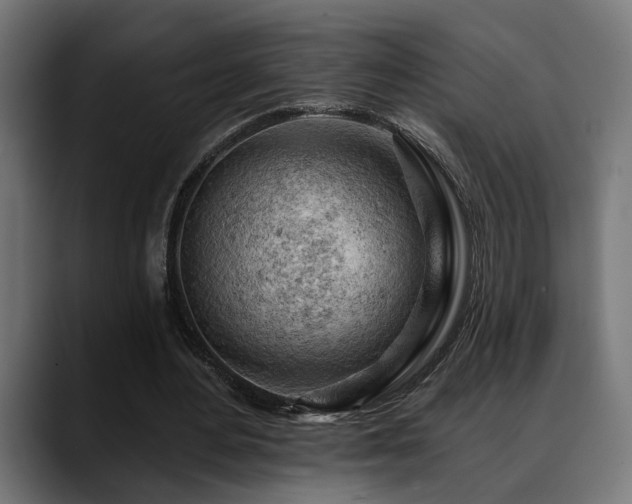 X0000088650484200705251505