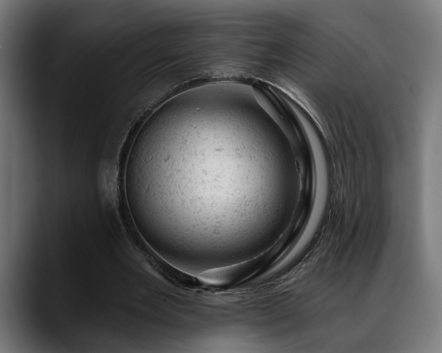 X0000088650485200705251505