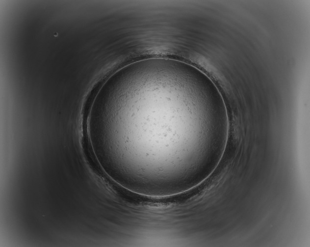 X0000088650486200705251505