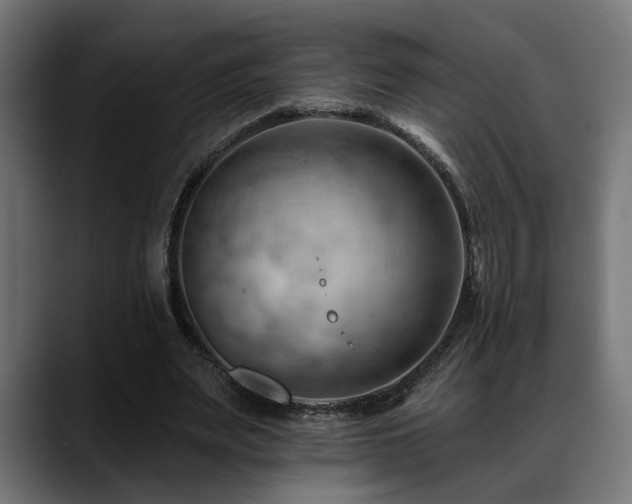 X0000088650487200705251505