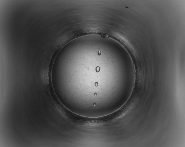 X0000088650489200705251505