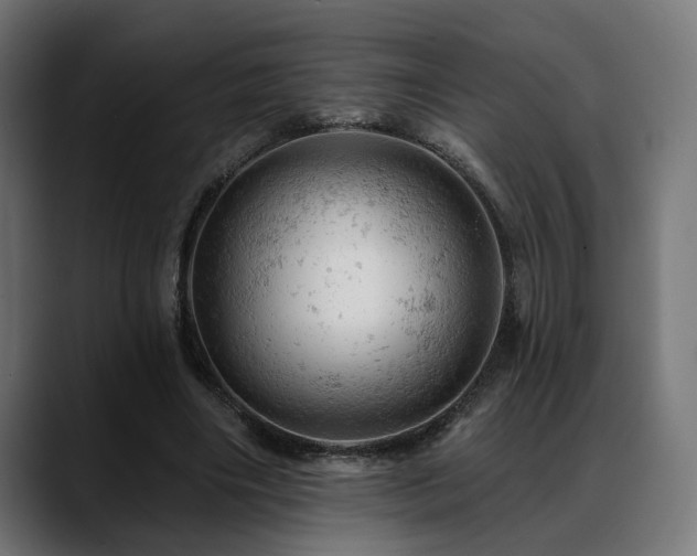 X0000088650490200705251505