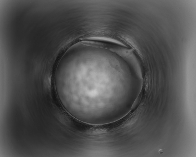 X0000088650491200705251505