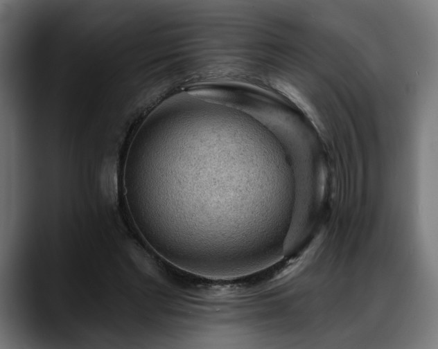 X0000088650493200705251505