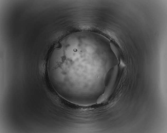 X0000088650495200705251505