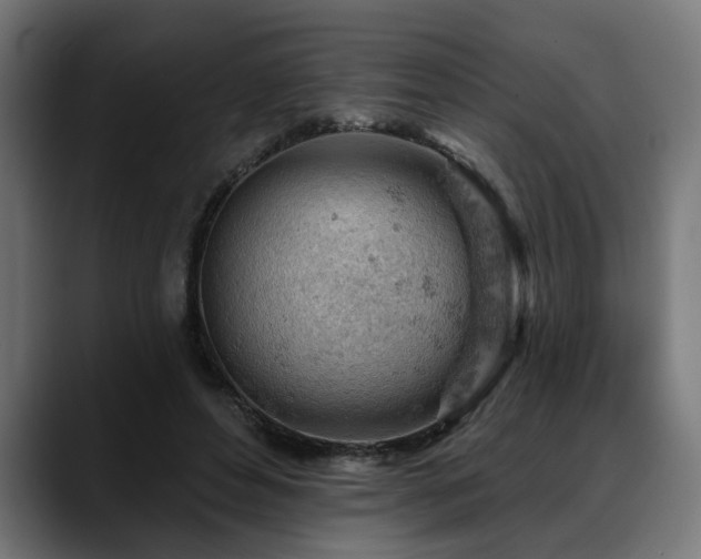 X0000088650496200705251504