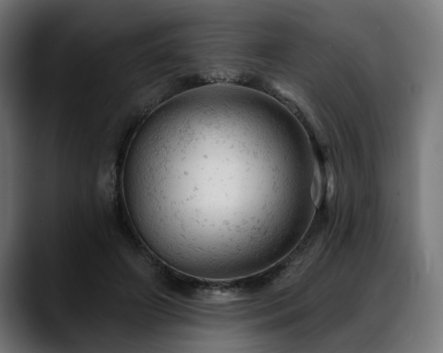 X0000088650498200705251504