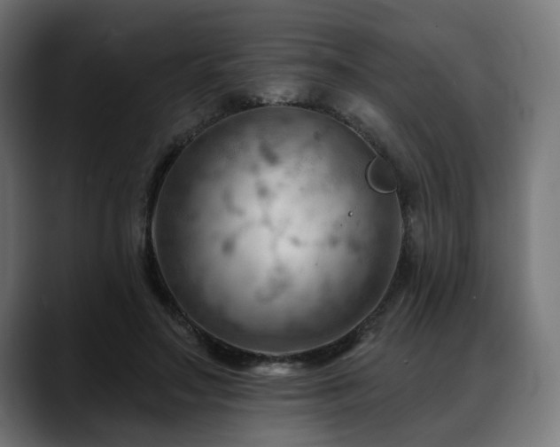 X0000088650499200705251504