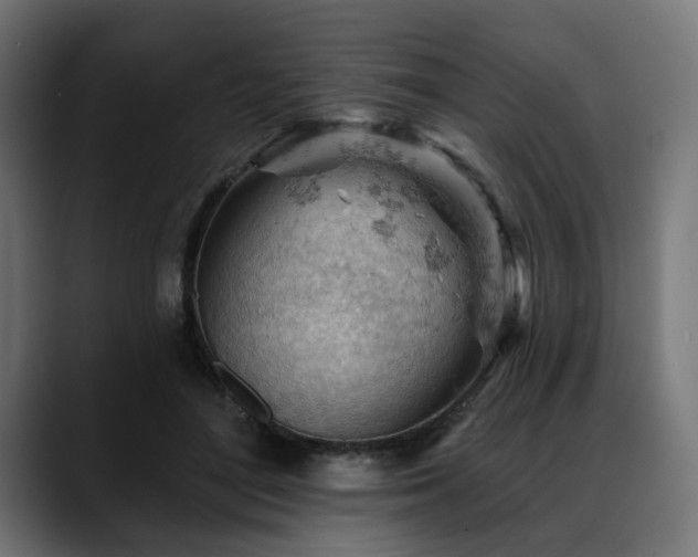 X0000088650500200705251504