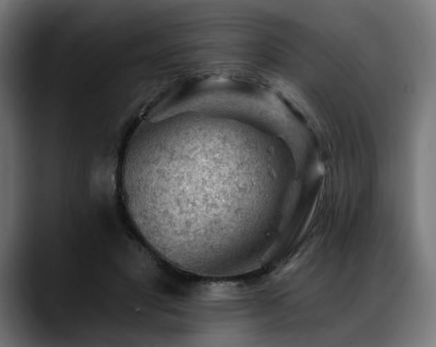 X0000088650501200705251504