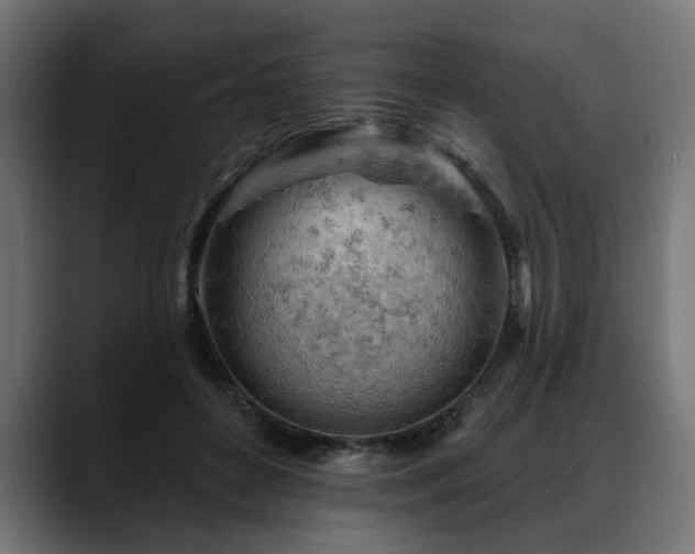 X0000088650504200705251504