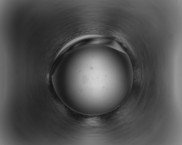 X0000088650505200705251504
