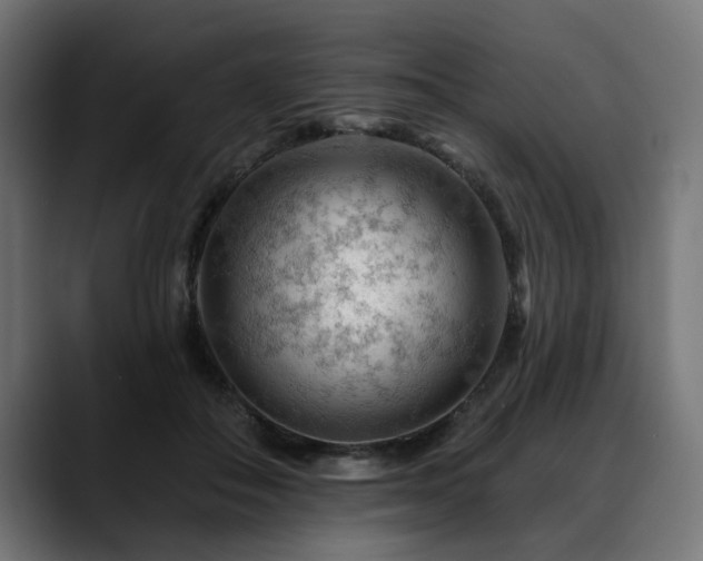 X0000088650506200705251504