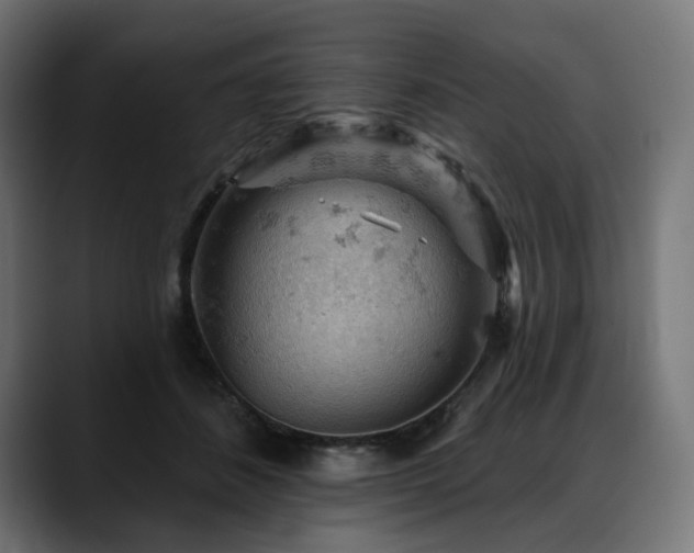 X0000088650508200705251504