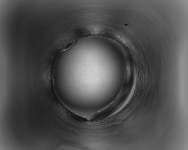 X0000088650509200705251504