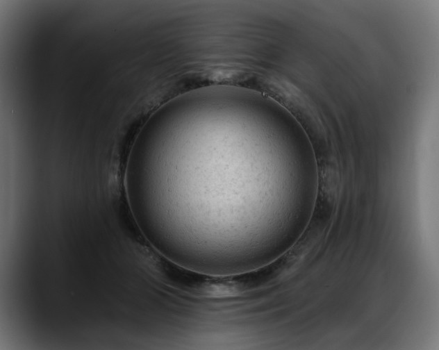 X0000088650510200705251504