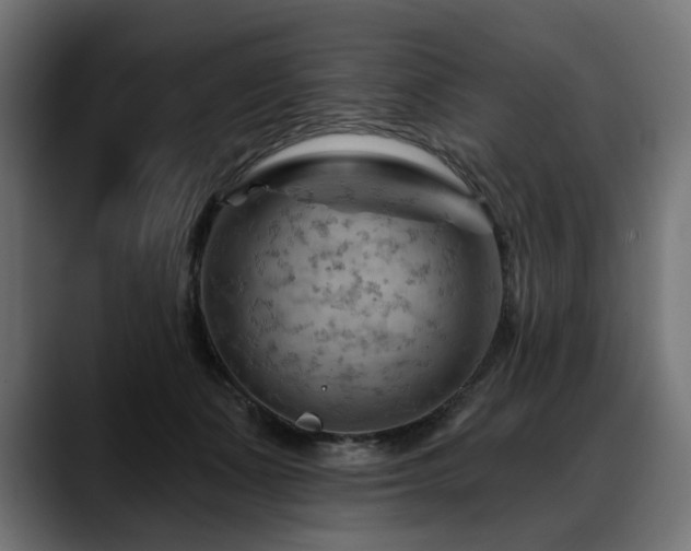 X0000088650511200705251504
