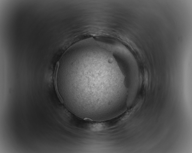 X0000088650513200705251504
