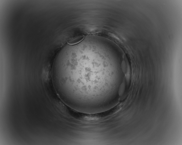 X0000088650515200705251504