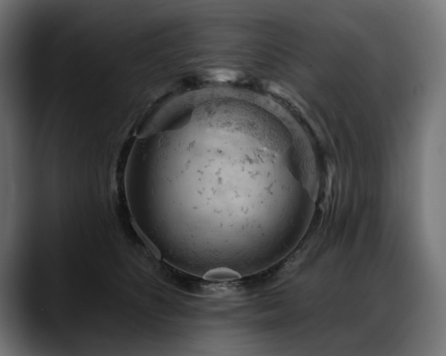 X0000088650516200705251504