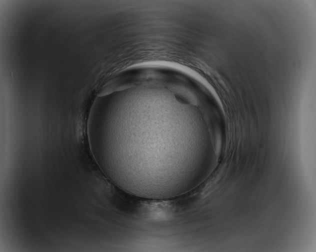 X0000088650517200705251504