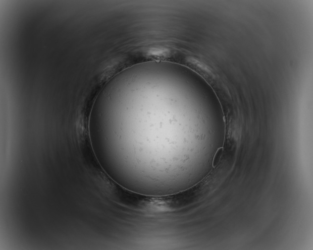 X0000088650518200705251504