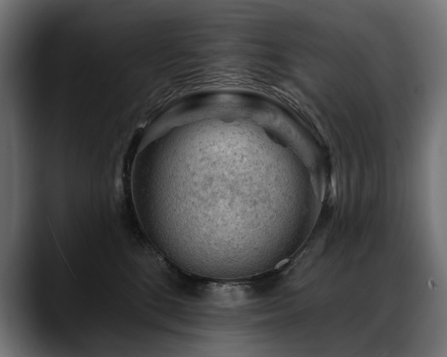 X0000088650520200705251504