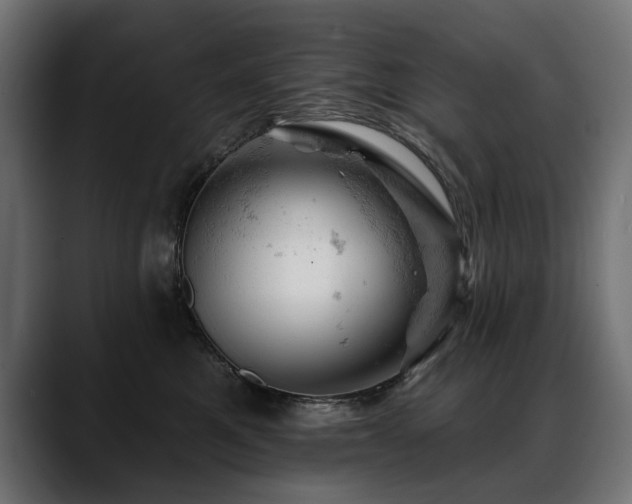 X0000088650521200705251504