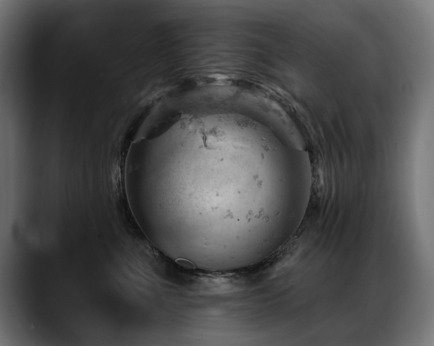 X0000088650523200705251504