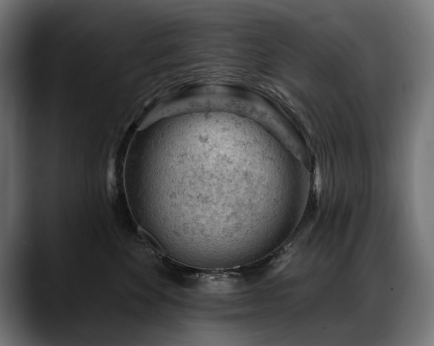 X0000088650524200705251504